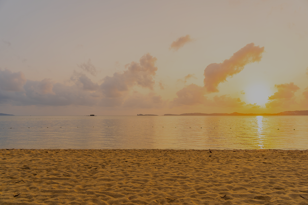 Looking for Answers?